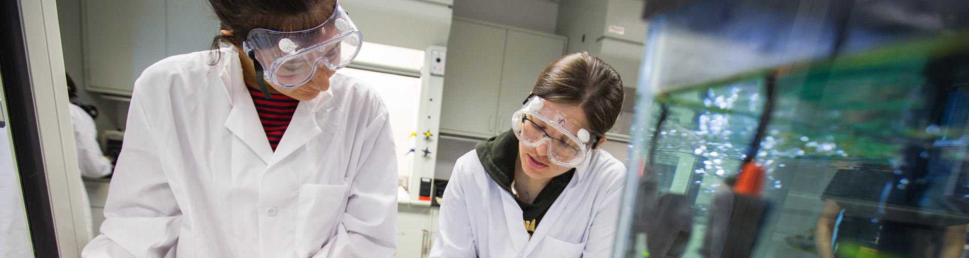 Lab workers